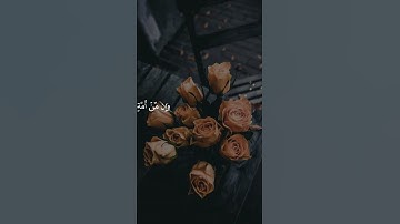 سورة فاطر آية  24  #اكسبلور #القران #راحة_نفسية #القاريء #حالات_واتس #الصلاه #تيك_توك #جامعه #لايك