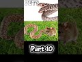 i got pet 2 headed snake #terragreen #facts #snakevideo #snakevideo #snakes #smoothsnake