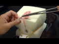 Midwifery & Obstetrics - Perineal Laceration Repair