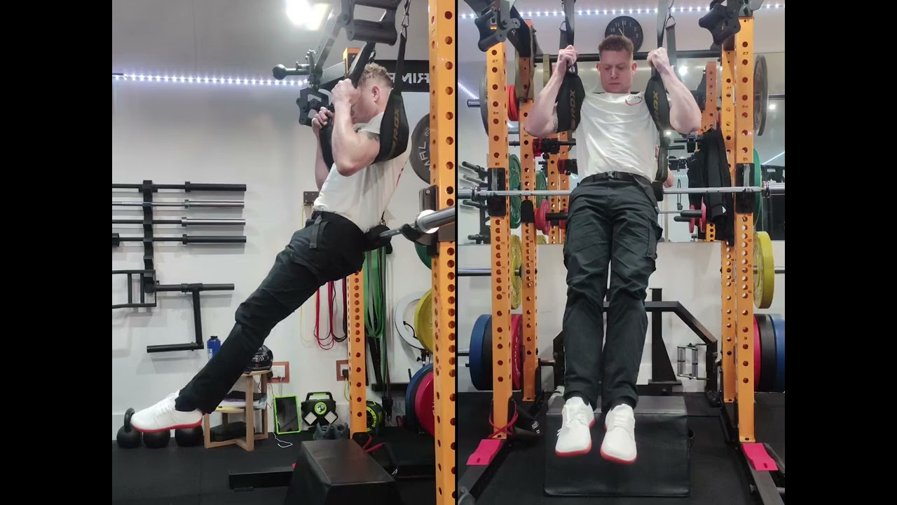 Hanging Knee Crunch - Back Supported