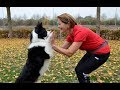 Dogdance: Sie tanzt mit ihrem Hund