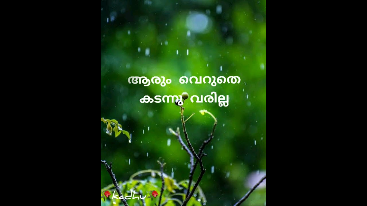 Malayalam whatsapp status video