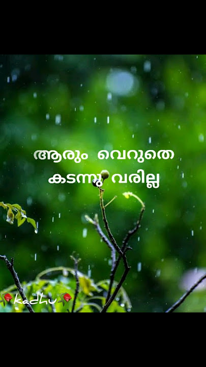 malayalam whatsapp status video❤️