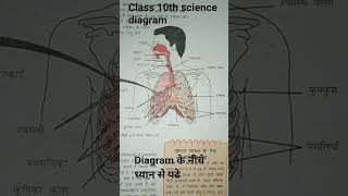 class 10th science diagram @science photos @rrbgroup d @science#railway science