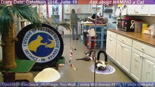 FFRC 20160323 Elsie+Magic+Derecho