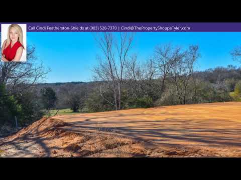 1320 Nate Circle, Bullard, TX home video tour