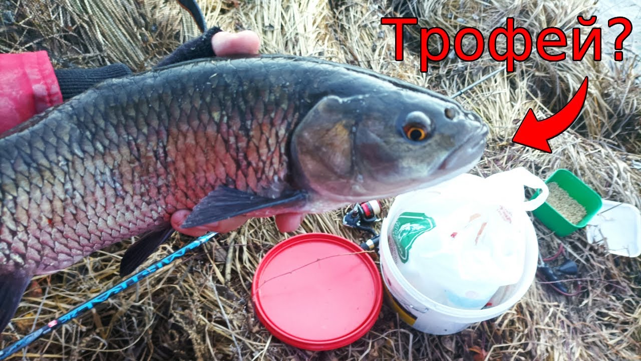 ТРУДНИ КЕФАЛИ  при ВИСОКО ниво! В търсене на ТРОФЕЙ №2! Риболов на ИЗТИЧАНЕ с ПЛУВКА по река Струма!