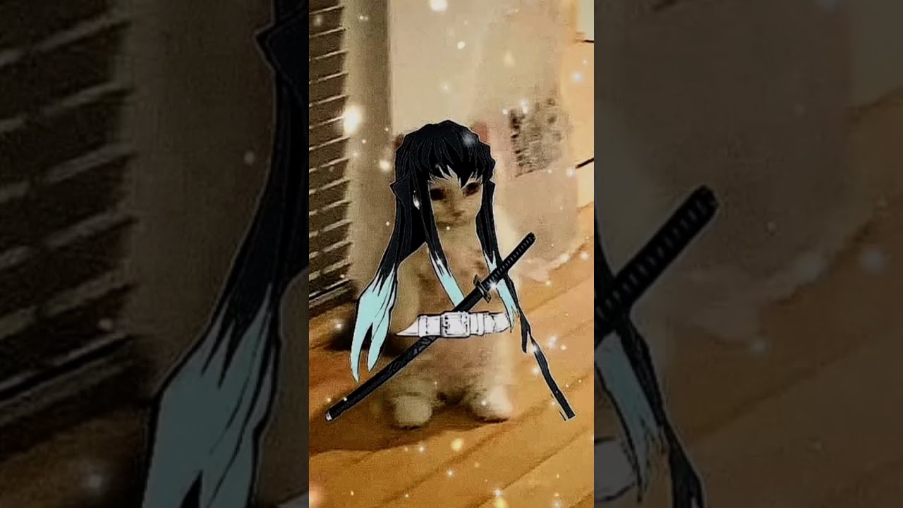 Hashira Introduction But Cat Form Anime Kimetsunoyaiba Demonslayer
