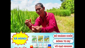 Bio Việt Nam xả hàng toàn bộ bio siêu đẻ nhánh, bio siêu rước đòng, bio siêu vô gạo, bio siêu sâu