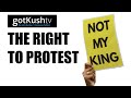 The Right To Protest • ZIVANAYI