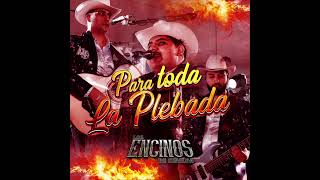 Los Encinos de Sinaloa "Para Toda La Plebada" (EP Completo) 2024