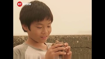 Cậu Bé Vô Tình tìm được quả trứng rùa không ngờ đây là quả trứng của thần thú#phimhay