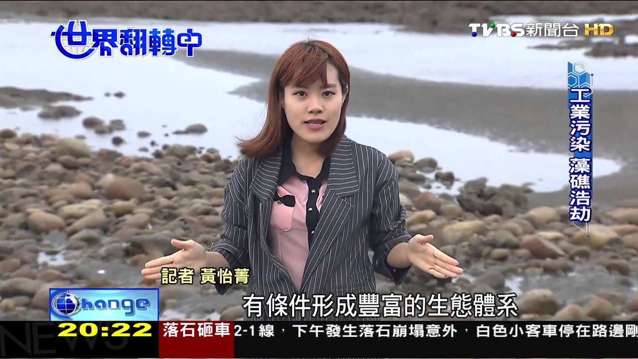 20160103 世界翻轉第25集 觀新藻礁僅剩4公里存活 列保護區復育