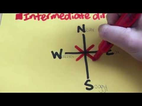 How to draw a compass rose
