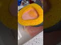 🟠🍊🤤🧽🧼 #asmr #cravingsatisfied #cleantok #suds #spongeactivity