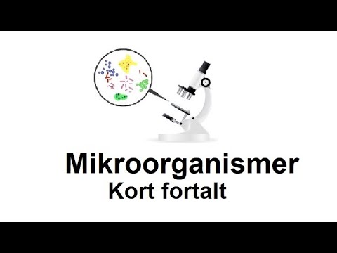 Video: 99% Af Mikrober I Den Menneskelige Krop Er Ikke Kendt For Videnskab - Alternativ Visning