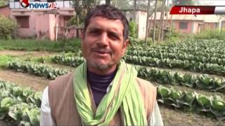 नेपालको माटोमा तरकारी खेती गरी लाखौ कमाउँदै भारतीय किसानहरु - MAIN NEWS