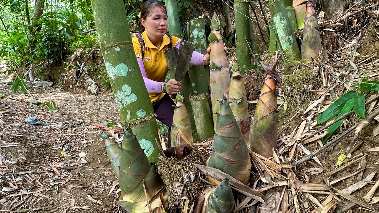 3 Years In The Forest, Harvest Bamboo Shoots, Papaya, Forest Potatoes - Sell Pigs To Traders