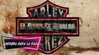 arley perez el genio en vivo arley perez el genio en vivo