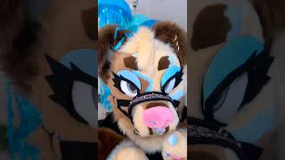 #furrycommunity #fursuit #fursona #furry fursuits fursona fursuiting furryconvention fursuiters