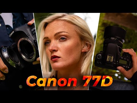 Is the Canon 77D Worth it In 2022? | Canon DSLR Camera Review