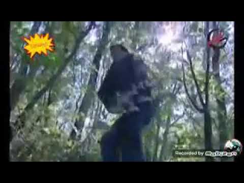 يمتعب روحي ليش تعذبني صدق انا حبك ودري انتا تحبني ام ريزان