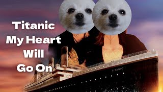 Titanic - My Heart Will Go On(Dog Cover)