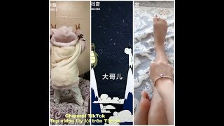 ❤Top video lầy lội trên Tiktok #1❤ Tiktok China ❤ Channel Tiktok❤