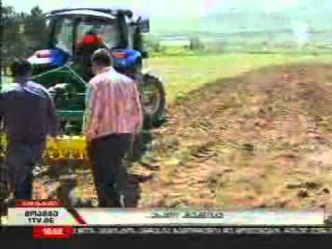 ზაზა გოროზია ნატახტარში