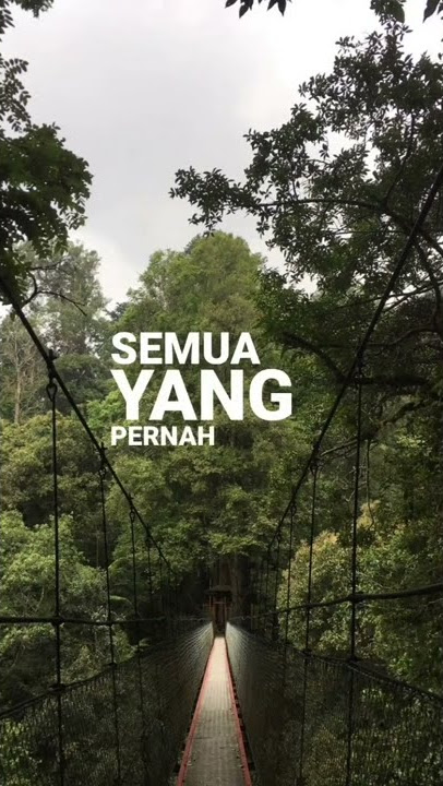 Tak bisa mencintaimu #shorts