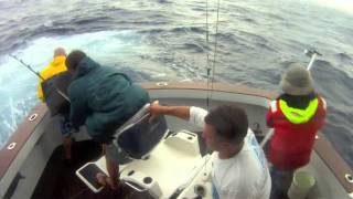 iona gamefishing st
