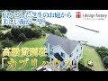 高級貸別荘「カプリハウス」| 千葉県富津市竹岡