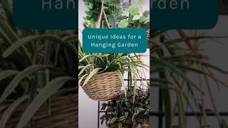 Unique Ideas For A Hanging Garden #ideas #tips #hangingplants #howto #plants #houseplants #shorts