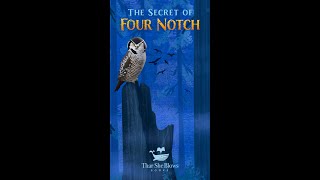 The Secret of Four Notch