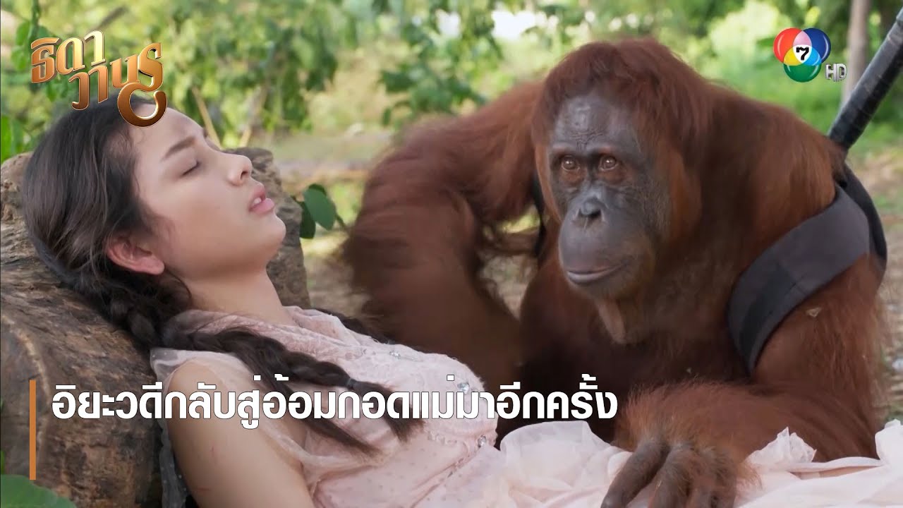 อิยะวดีกลับสู่อ้อมกอดแม่มาอีกครั้ง | ตอกย้ำความสนุก ธิดาวานร EP.26 | Ch7HD