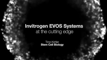 EVOS M5000 microscope at the cutting edge research : Part-3 Stem cell biology