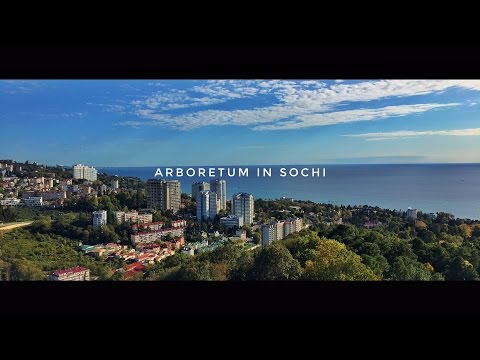 Video: Cara Mengunjungi Arboretum Di Sochi