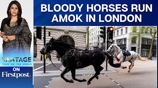 British Military Horses on the Loose in Central London | Vantage with Palki Sharma