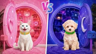 We Build a Secret Room for Pets! Rich Cat vs Poor Dog!