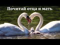 "Почитай отца и мать". Д. Д. Конкин. МСЦ ЕХБ