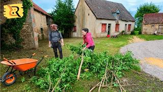 Celebrity Clearing Land & Harvesting Elderflowers Wealth