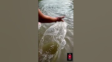 Amazing SLOMO Captured in iPhone 13