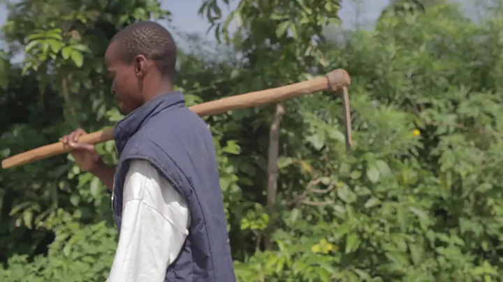 The 4R Nutrients Solution