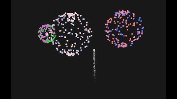 OpenGL Firework Simulations