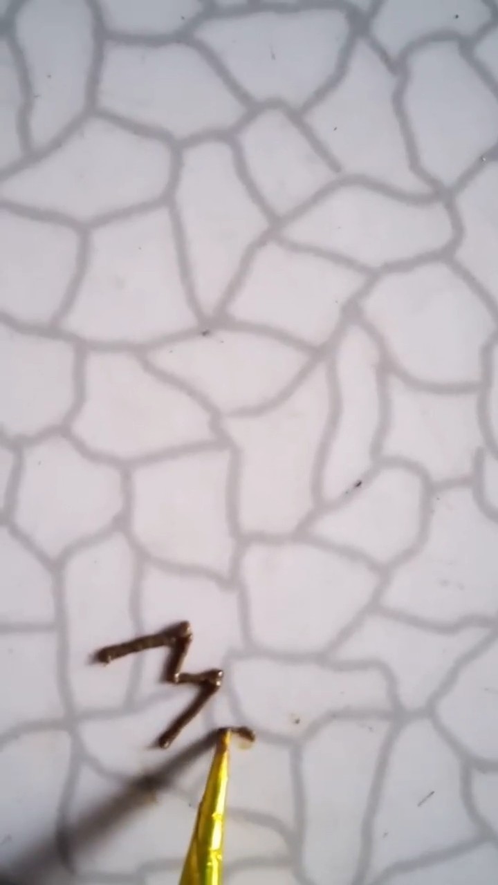 🔅मेहंदी व्हिडिओ - ShareChat