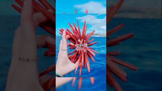 Rare Photos You've Never Seen Before [Part 172]