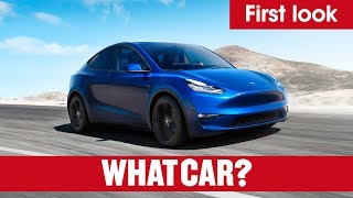 A 300-mile range, seven seats, 15 inch touchscreen, and 0-60mph times
that match porsche 911 - find out everything you need to know about
the new tesla mod...