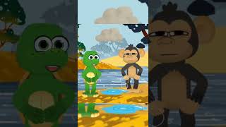 Información Turtle and Monkey Noticias
