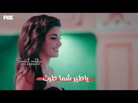رولا قادري معقوله حالات واتس أب