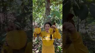 Deep in the Jungle, We Found a Fruit This Beautiful 😍